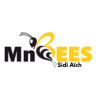 MnBees Gafsa - Sidi Aïch