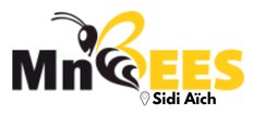 MnBees Gafsa - Sidi Aïch